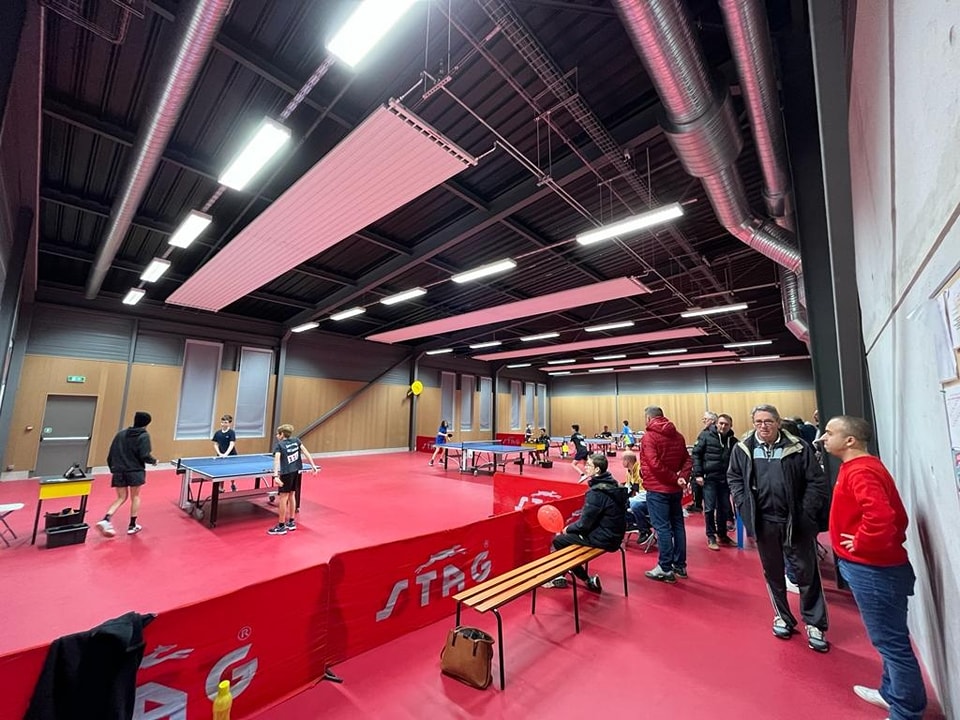 318312237 646567100496138 3240165079182936257 n